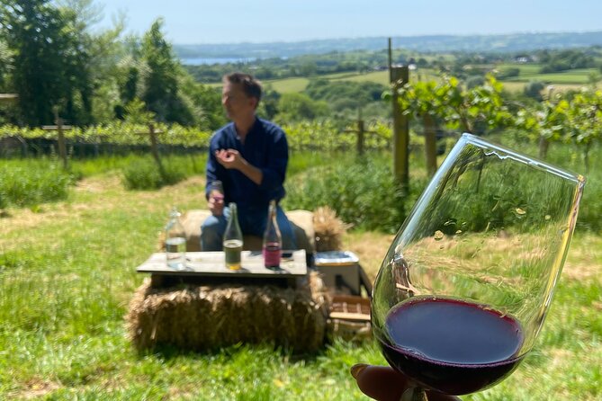 Wine & Cheese in the Somerset Valleys - with Michelin-star lunch! - Entering the day from Bristol (and why the timing feels right)