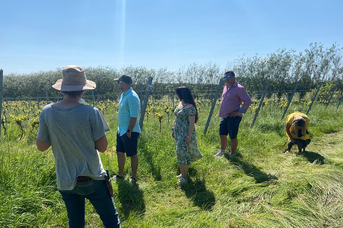 Wine & Cheese in the Somerset Valleys - with Michelin-star lunch! - The Pony in Chew Valley: Michelin-star lunch plus a garden tour