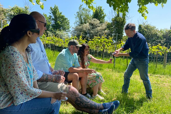 Wine & Cheese in the Somerset Valleys - with Michelin-star lunch! - Limeburn Hill in Chew Magna: biodynamic wine tasting with real context
