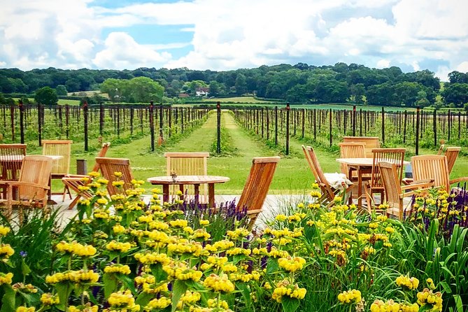 Wine Tours of Kent Private group booking - Vineyard stops: what you might see in Kent