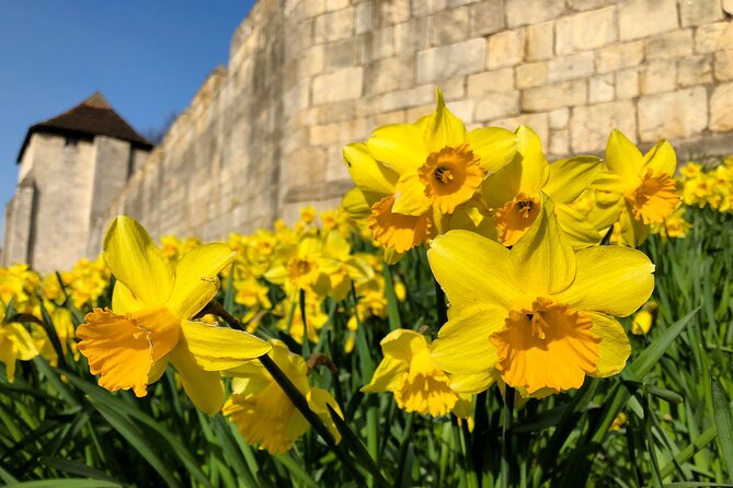York 3-Hour Photography Walking Tour - Merchant Adventurers’ Hall and the short cut through a snickleway