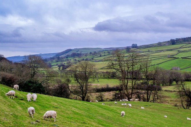Yorkshire Dales Tour from York - Aysgarth Falls: A Fast Waterfall Hit With Big Photo Rewards