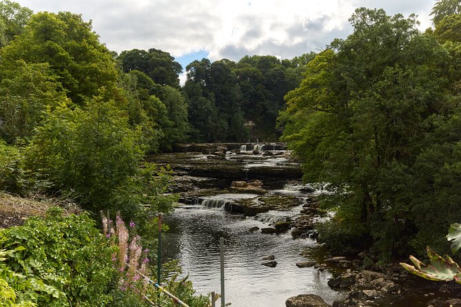 Yorkshire Dales Tour from York - Wensleydale Creamery: Cheese Country Time That Goes Beyond a Photo