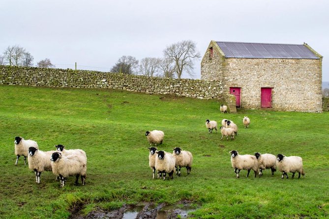 Yorkshire Dales Tour from York - The 9:00 York Departure and Mini-Coach Comfort